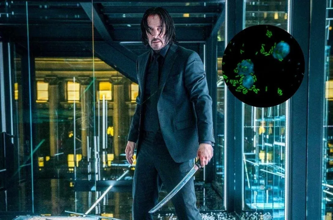 keanumicinas bacterias letais inspiradas em keanu reeves 29fe1
