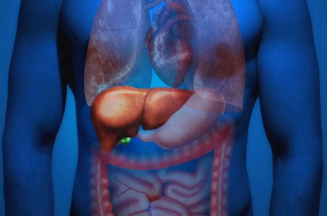 limpeza hepatica o que e mitos e riscos dessa nova moda 55d37