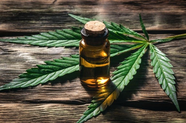 Microdoses de Cannabis mostram efeito em idosos com Alzheimer