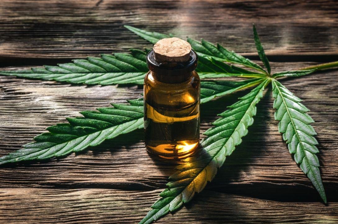 Microdoses de Cannabis mostram efeito em idosos com Alzheimer