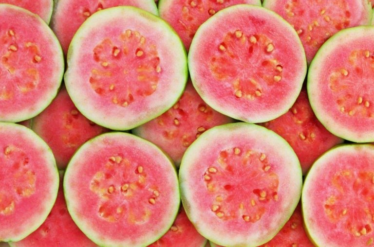 Molecula da goiaba pode combater câncer de fígado