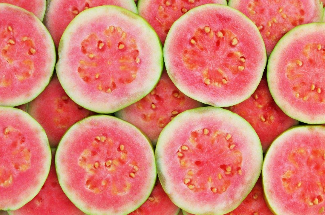 Molecula da goiaba pode combater câncer de fígado