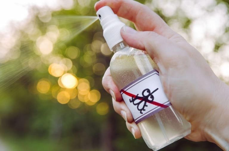 Moscas nunca mais! Repelente caseiro de 3 ingredientes