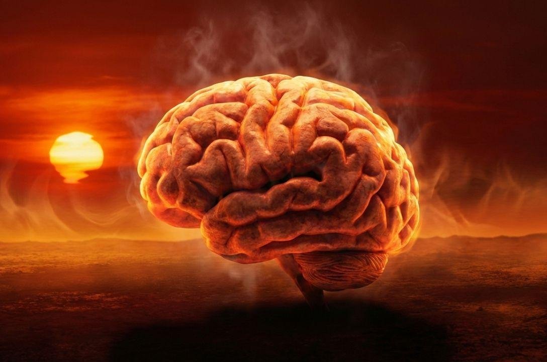 O aquecimento global pode estar "fritando" seu cérebro