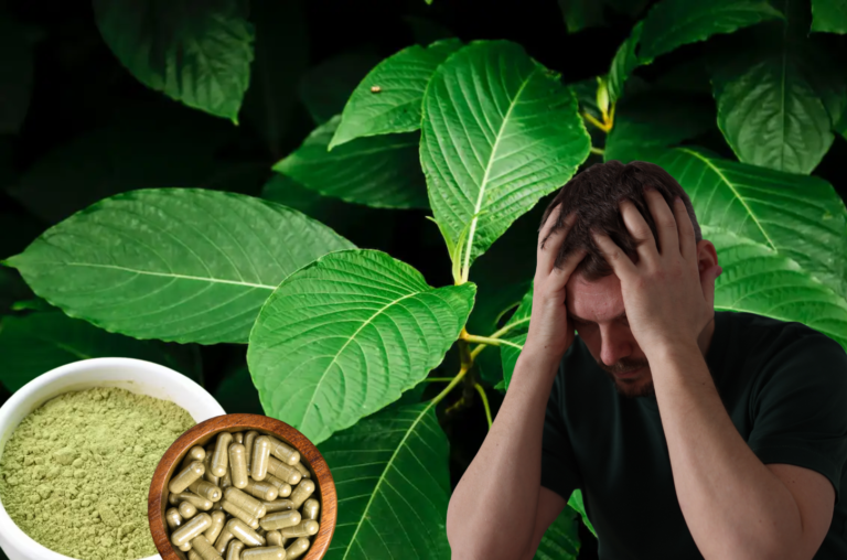 O que é Kratom? Conheça a planta natural milagrosa e perigosa