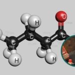 O sabor energético tem nome: butírico. Veja o que diz a ciência