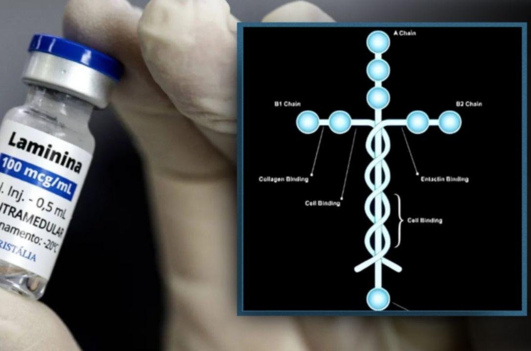 Polilaminina em forma de cruz é esperança contra a tetraplegia