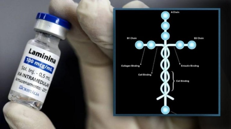 Polilaminina: entenda por que o Brasil perdeu a patente