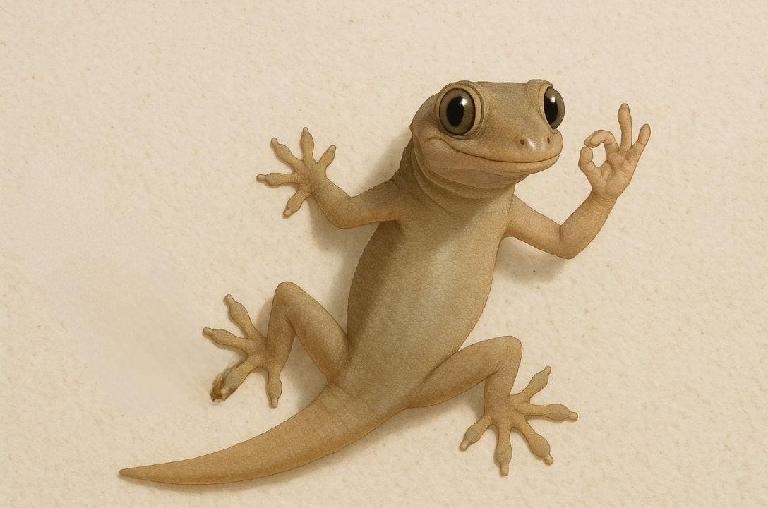 Por que lagartixas aparecem na sua casa? A ciência explica!