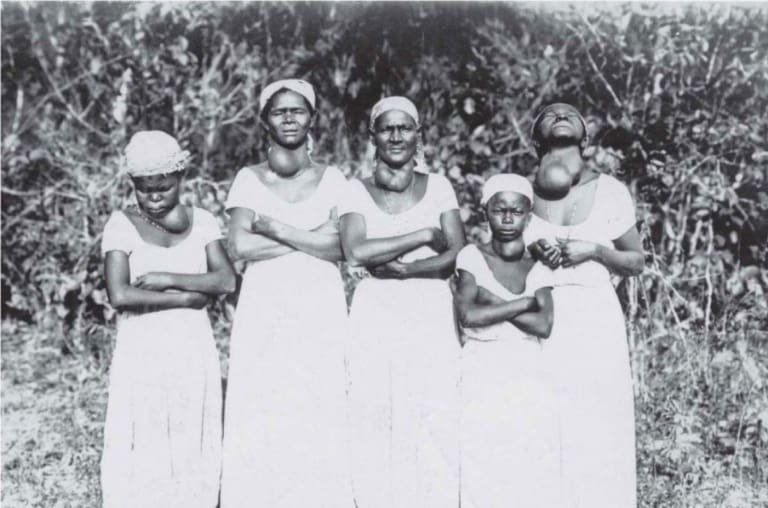 Por que o sal tem iodo? A história que mudou a saúde do mundo