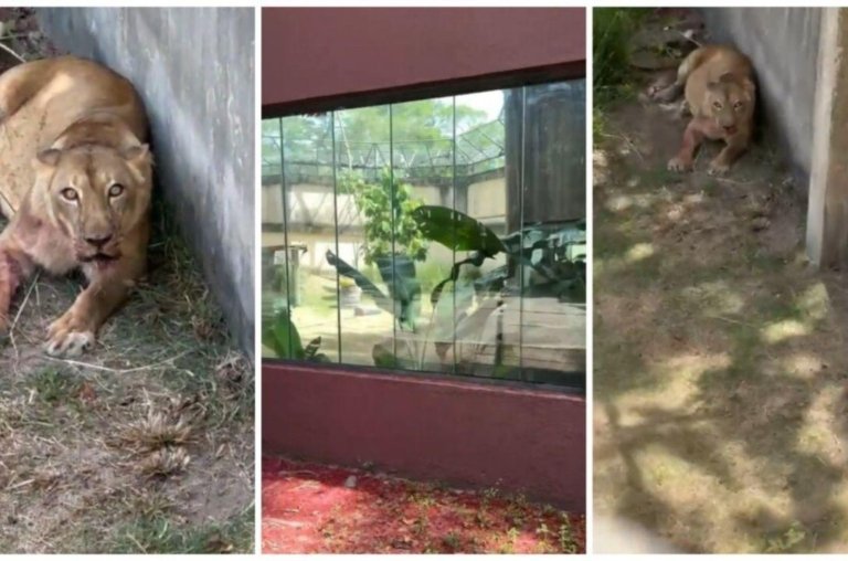 Precisamos conversar sobre saúde mental