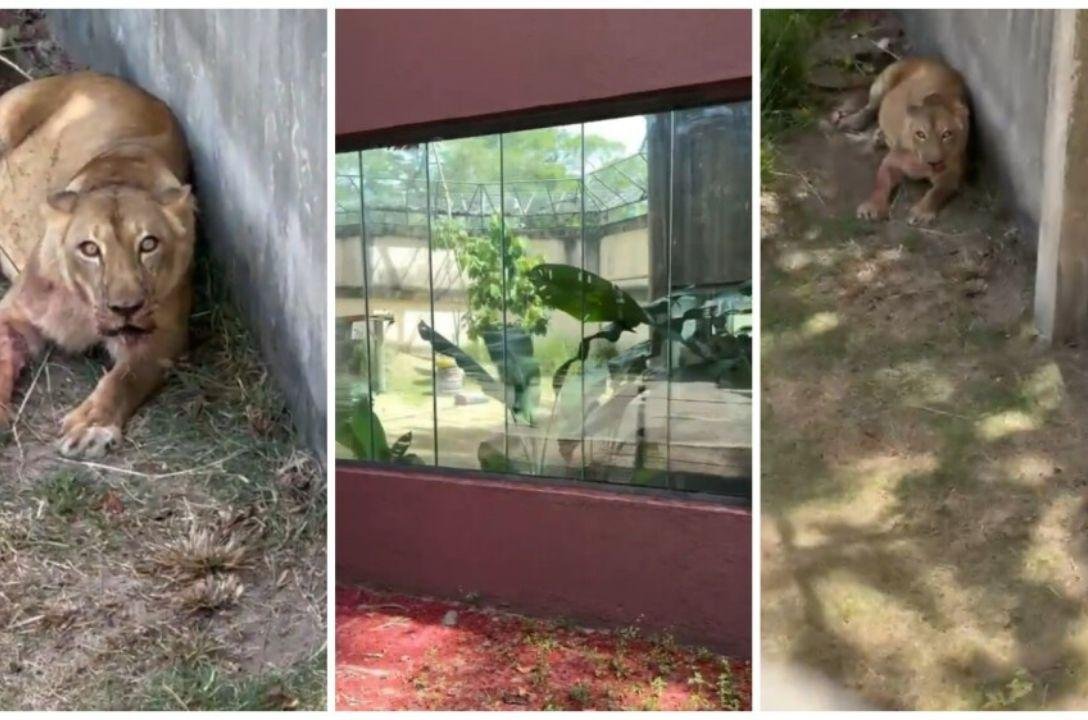 Precisamos conversar sobre saúde mental