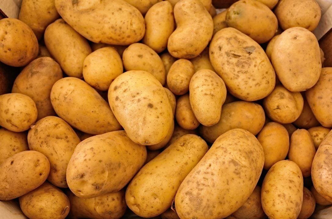 Qual o jeito certo de guardar batatas? Você provavelmente está fazendo errado.