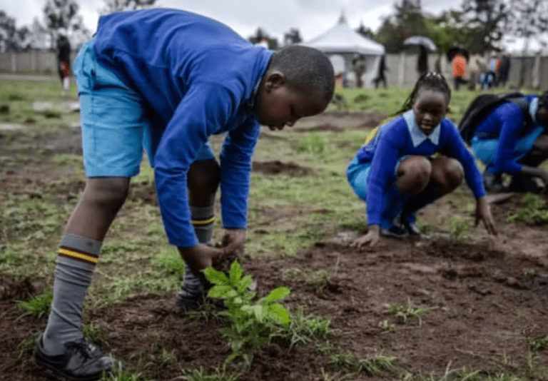 Quênia Mobiliza na Plantação de 100 Milhões de Árvores em Iniciativa Nacional