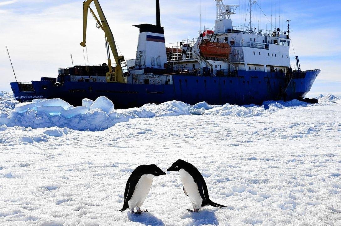 Rússia encontrou 511 bilhões de barris de petróleo na Antártida