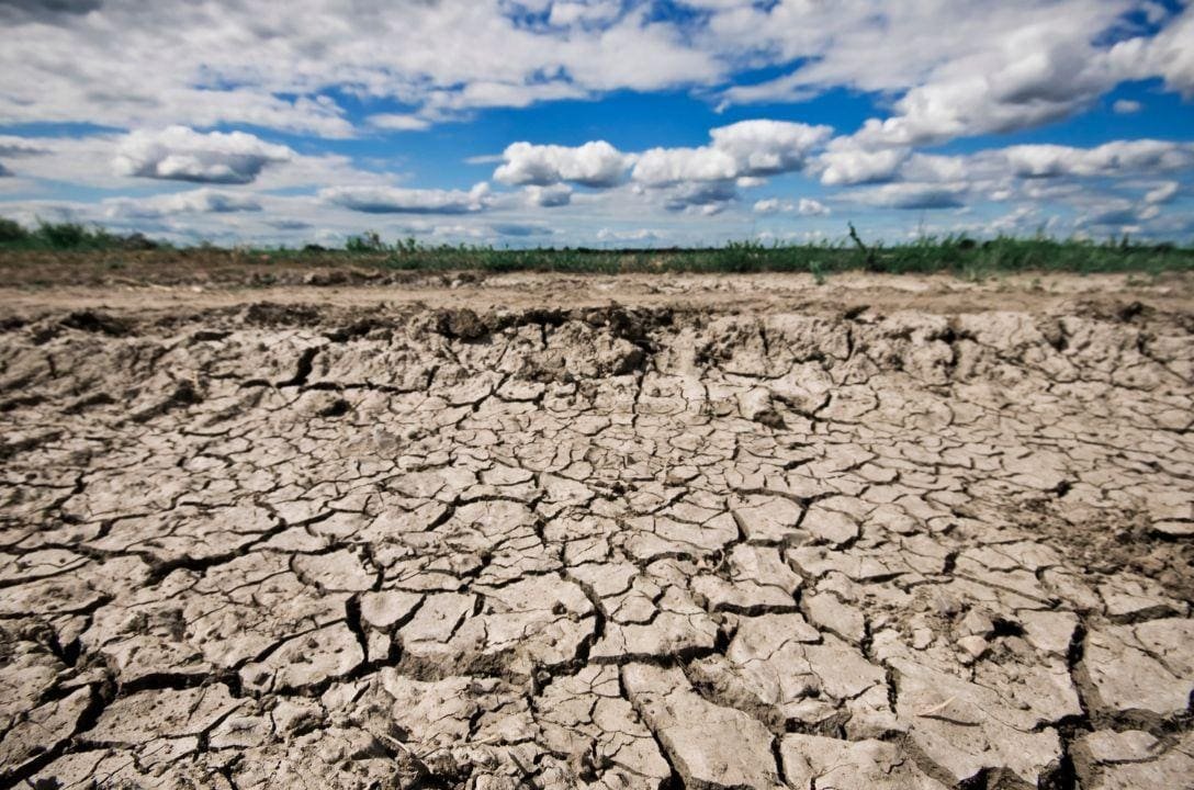 Seca no Cerrado brasileiro é a pior há sete séculos e foi revelada por estalagmites