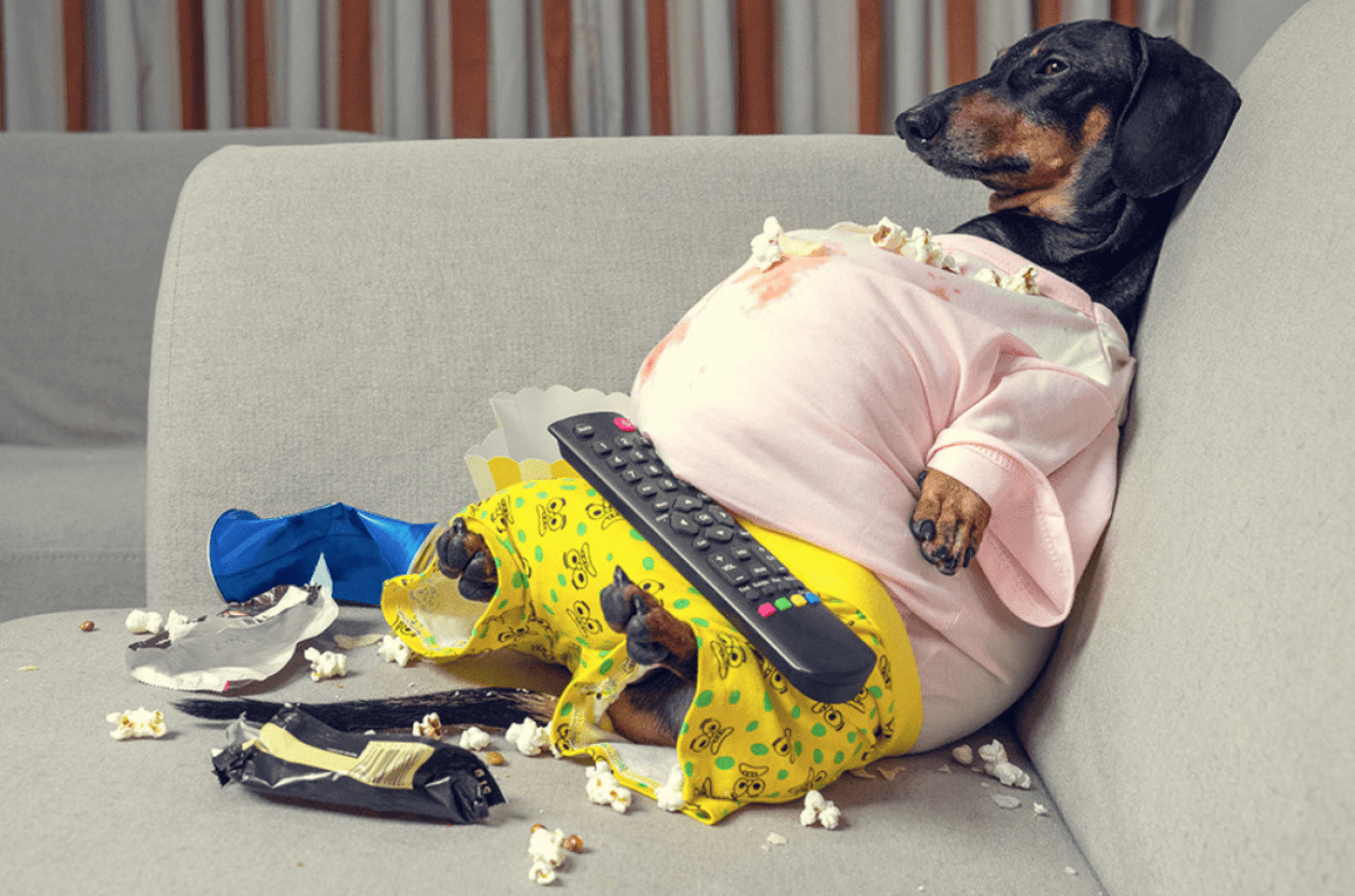 Tenha um Bom domingo! Conheça algumas curiosidades sobre o dia mais preguiçoso da semana