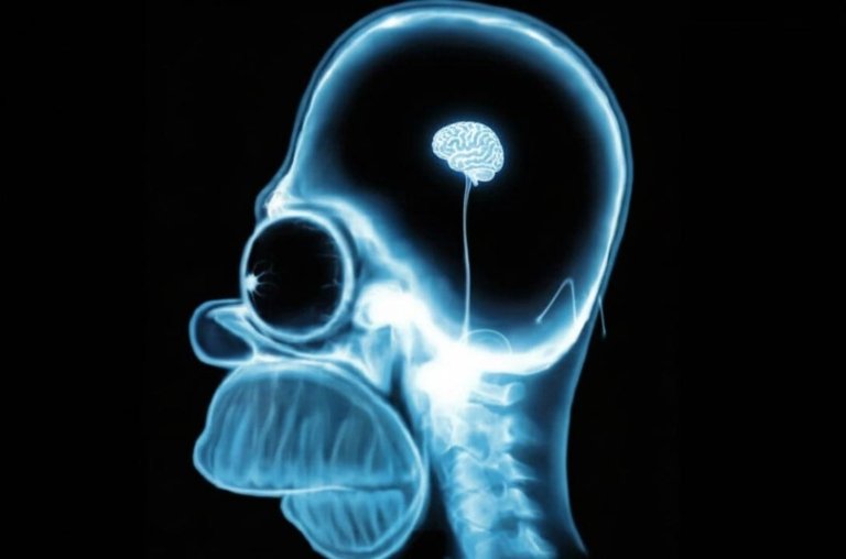 Usar TikTok pode causar declínio cognitivo e névoa mental