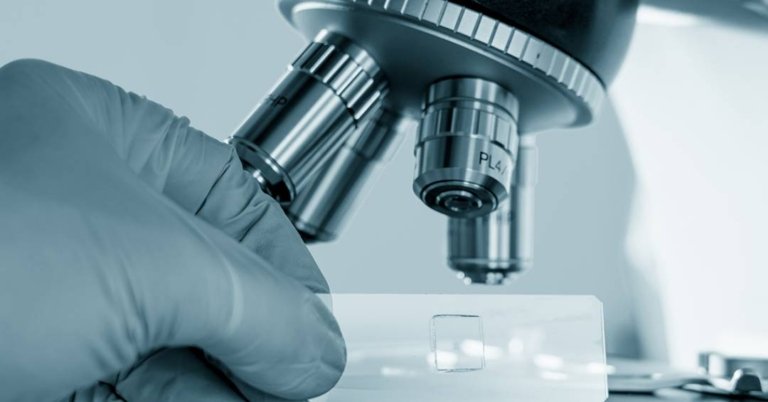 Vírus gigante recém-descoberto pode ter pistas sobre origem da vida