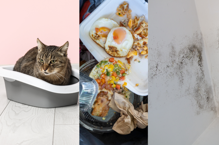 Você não sente o próprio cheiro? Entenda o porquê