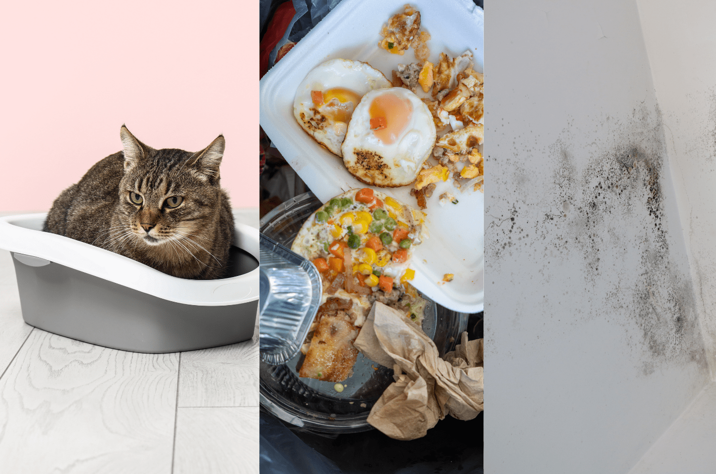 Você não sente o próprio cheiro? Entenda o porquê