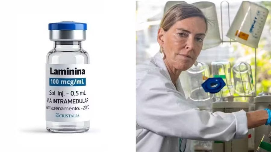 A polilaminina representa uma das pesquisas mais promissoras da ci&ecirc;ncia brasileira na &aacute;rea de regenera&ccedil;&atilde;o do sistema nervoso