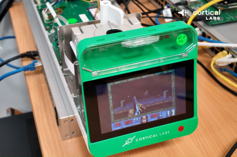 Células vivas em chip aprendem a jogar Doom