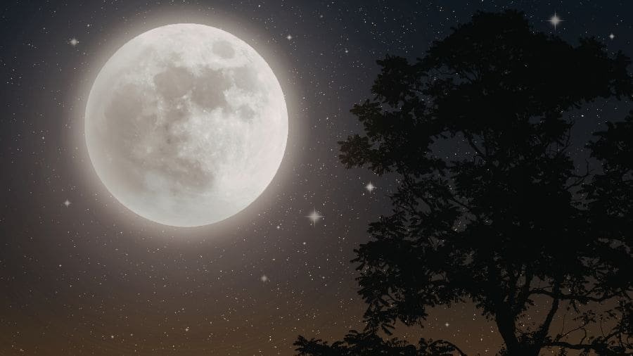 Não é mentira! Teremos Lua cheia "rosa" em 1º de abril Alguns povos chamam esse fenômeno de Lua do Ovo, por causa do período de fertilidade de vários animais