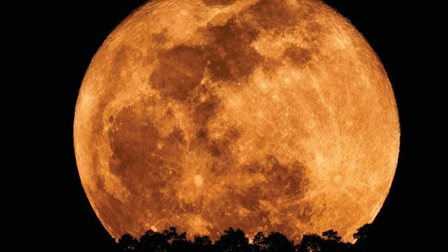 Não é mentira! Teremos Lua cheia "rosa" em 1º de abril Quando a Lua está próxima do horizonte, sua luz atravessa uma camada maior da atmosfera terrestre