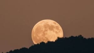 Não é mentira! Teremos Lua cheia rosa em 1º de abril