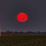 A melhor forma de acompanhar a Lua de Sangue em sua totalidade será pelas transmissões online