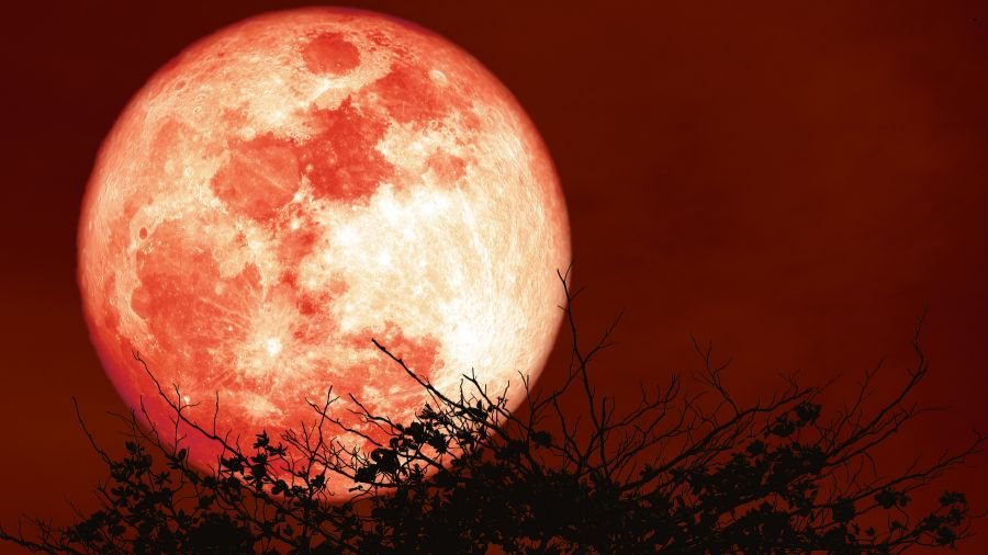 Lua de Sangue: transmissão ao vivo e horários do Eclipse Lunar O eclipse ocorre entre 5h44 e 11h23, no horário de Brasília