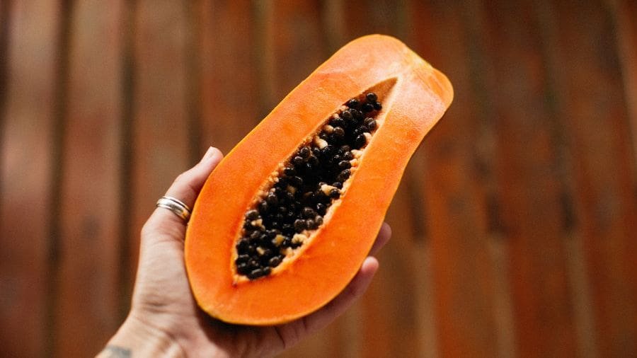 Quando a ci&ecirc;ncia olha para algo comum, como a semente de mam&atilde;o, ela &agrave;s vezes encontra perguntas maiores do que a pr&oacute;pria descoberta