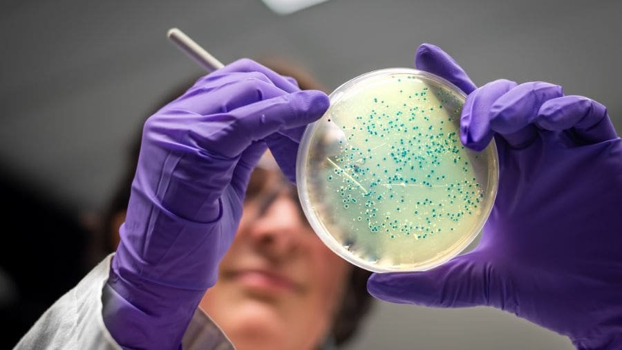 Laborat&oacute;rios s&atilde;o projetados para evitar esse tipo de situa&ccedil;&atilde;o, e os casos registrados costumam ser exce&ccedil;&otilde;es, n&atilde;o regra