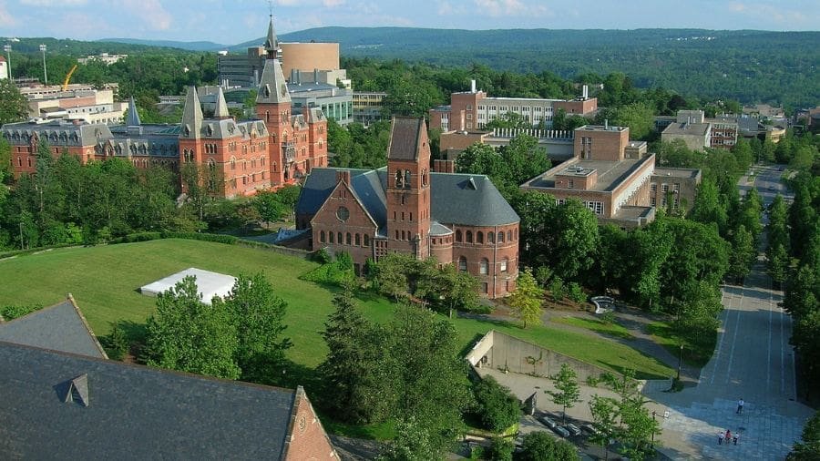 O novo anticoncepcional masculino foi desenvolvido por cientistas da Universidade Cornell