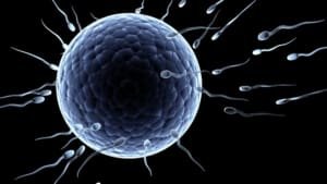 Anticoncepcional masculino pode pausar fertilidade sem hormônios