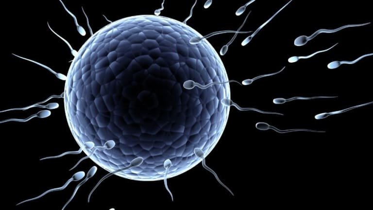 Anticoncepcional masculino pode pausar fertilidade sem hormônios