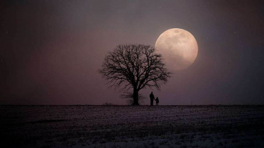 A Lua rosa de hoje &eacute; apenas o nome dado &agrave; lua cheia de abril