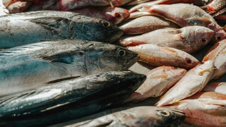 Por que católicos não comem carne na Sexta-Feira Santa?