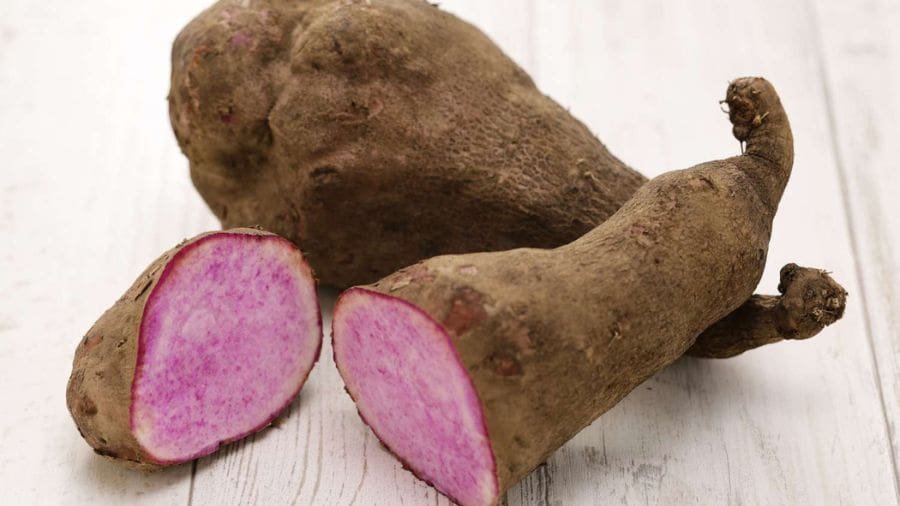 O ube &eacute; um tipo de inhame roxo origin&aacute;rio das Filipinas