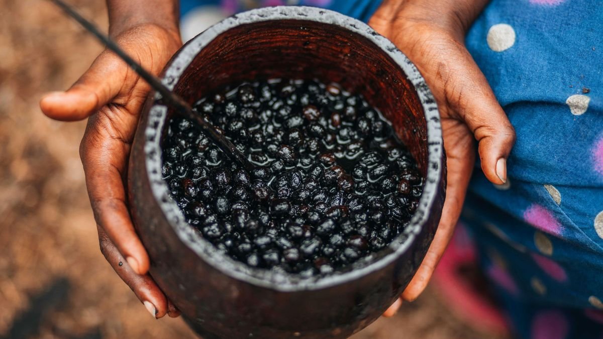 A pesquisa chama aten&ccedil;&atilde;o porque une dois mundos que nem sempre conversam como deveriam: o saber tradicional amaz&ocirc;nico e a investiga&ccedil;&atilde;o cient&iacute;fica em laborat&oacute;rio