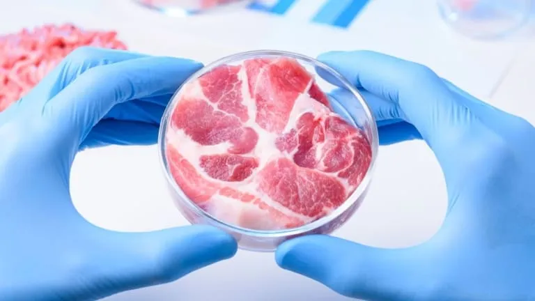 Carne de laboratório pode ser considerada vegana? O que diz a ciência?