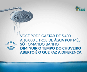 GOV DE GOIÁS - HOME SIDE - PI 013318