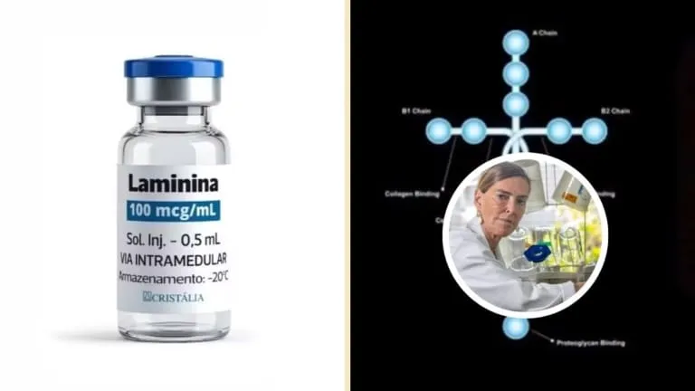 Após mais de 20 anos de pesquisa, começam testes clínicos com polilaminina