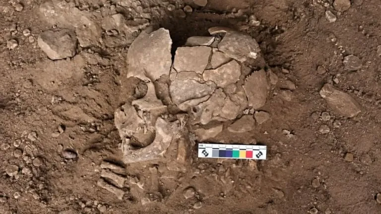 Estudo diz que humanos já usavam drogas psicoativas há 25 mil anos