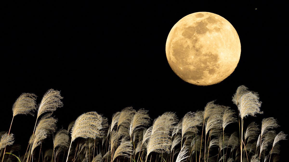 A Lua da Colheita será neste sábado. Veja como fotografá-la com o celular O nome parece anunciar uma transformação especial no céu, mas sua origem está na relação entre a agricultura e a passagem das estações