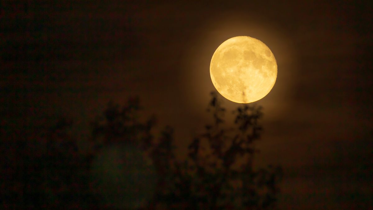 A Lua da Colheita será neste sábado. Veja como fotografá-la com o celular Neste sábado, 26 de setembro de 2026, a Lua da Colheita oferece uma oportunidade para experimentar