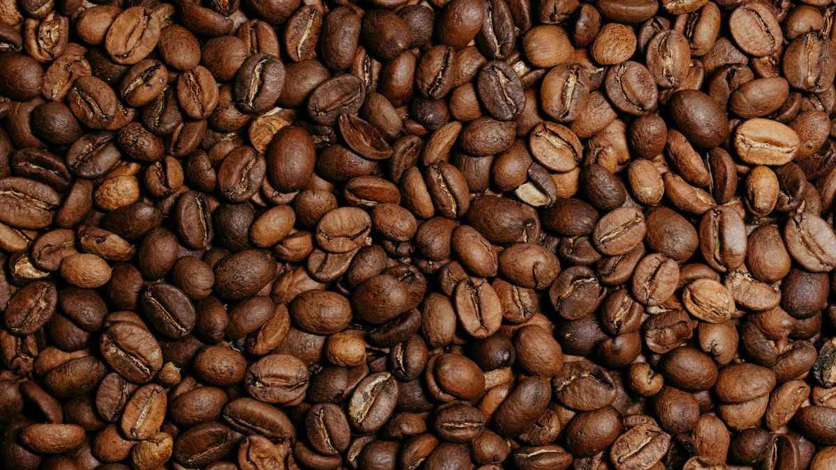 Em um experimento com 12 adultos jovens e saud&aacute;veis, uma dose de cafe&iacute;na melhorou o desempenho em esfor&ccedil;os curtos e intensos na bicicleta