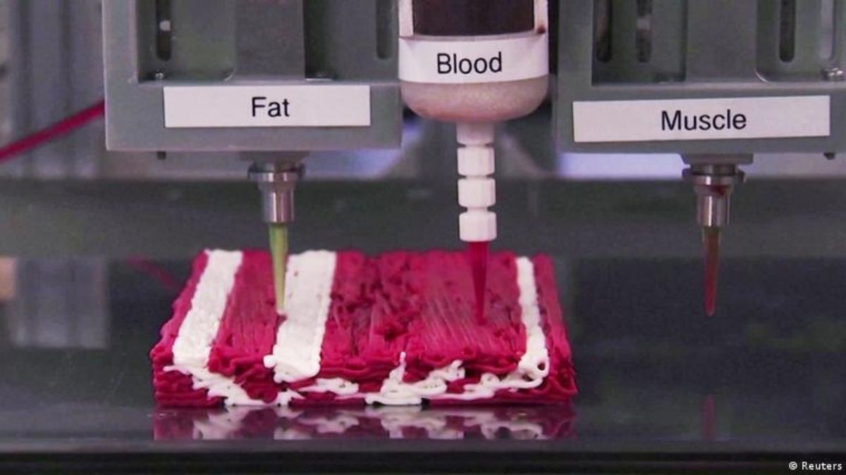 Já imaginou um bife feito de plantas em impressora 3D? Você comeria? A impressão 3D pertence ao universo da fabricação aditiva: o produto ganha forma pela deposição controlada de material