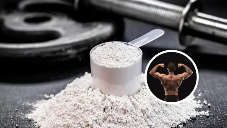 Creatina pode aumentar músculos sem exercício? O que diz a ciência?